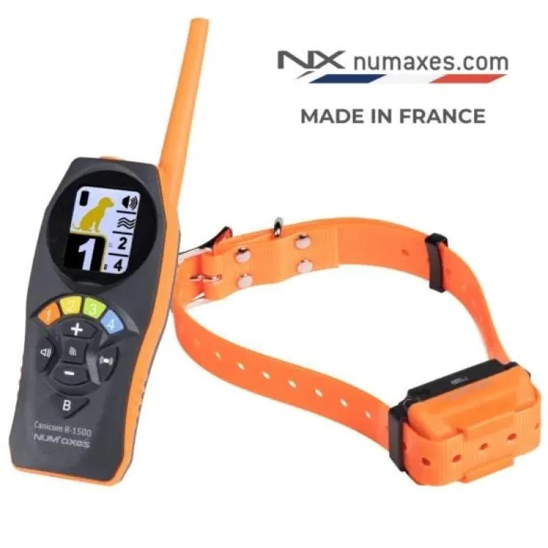 Ensemble de dressage Canicom R-1500 - 1 chien
