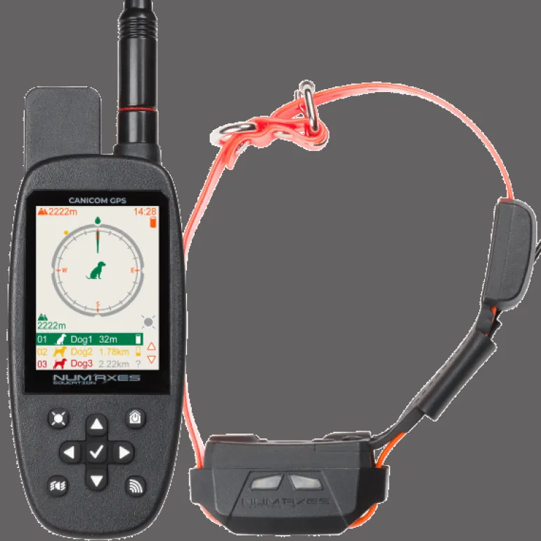 Ensemble de localisation CANICOM GPS MINI avec stimulation