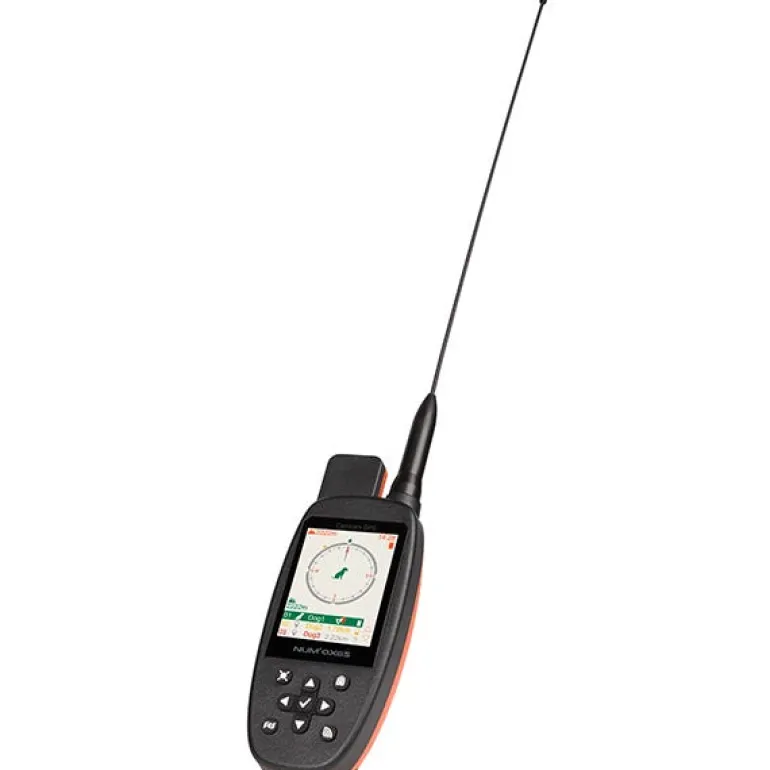 Ensemble de localisation CANICOM GPS MINI avec stimulation