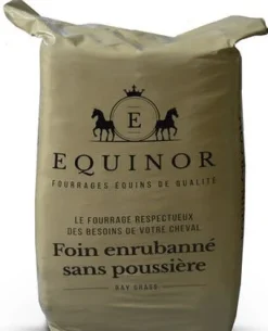 Equinor 20L
