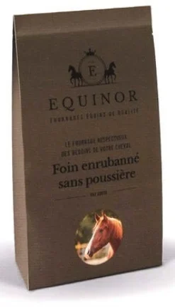 Equinor 20L