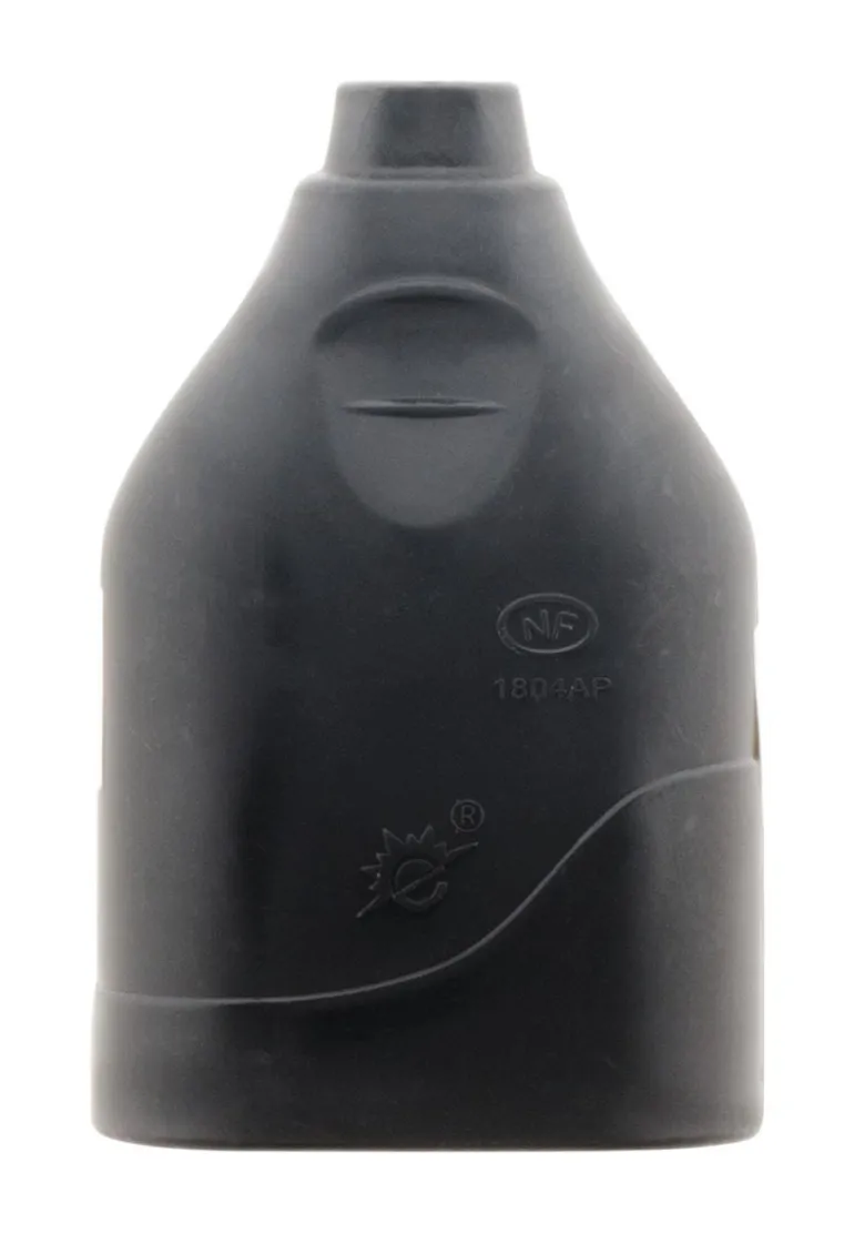 Fiche femelle 2 pôles 6A noire NF