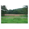 Filet anti-loup 25 m H.170 cm horinetz super HORIZONT