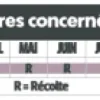 Film de paillage spécial fraisiers 1,40 x 10 m TERAGILE