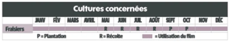 Film de paillage spécial fraisiers 1,40 x 10 m TERAGILE