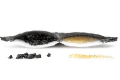 Filtre à charbon pour fontaine Viva (x4) PETSAFE
