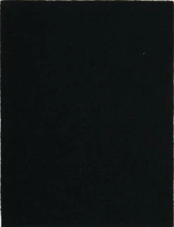 Filtre pour maisons de toilette 15x19,5cm (x3) ZOLUX