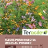 Fleurs pour insectes utiles au potager - 100 m²