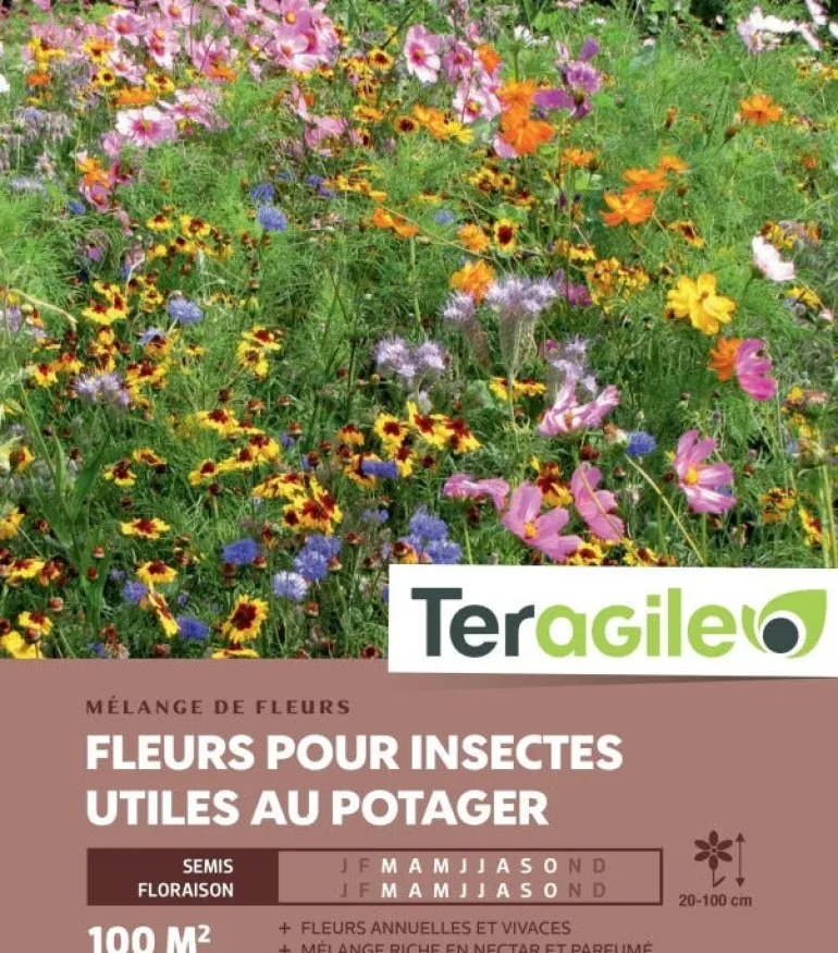 Fleurs pour insectes utiles au potager - 100 m²