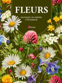 Fleurs sauvages, du jardin, d'intérieur