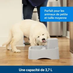 Fontaine Drinkwell en plastique sans BPA 3,7L gris
