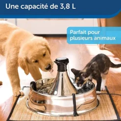 Fontaine 360° en inox 3,8L