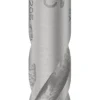 Foret béton PRO SDS plus-5X, 12 x 200 x 260 mm BOSCH PRO