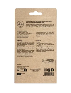 Fève Luz de Otono 100g CAILLARD