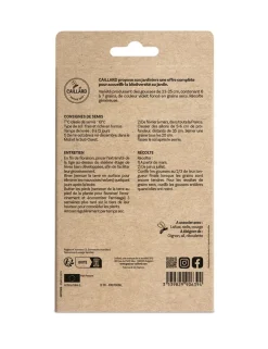 Fève Reina Mora 100g CAILLARD