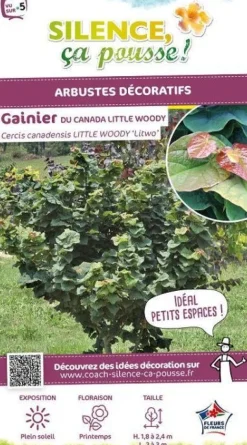 Gainier du Canada "Little Woody" Pot 10L SILENCE ÇA POUSSE
