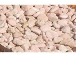 Galet rose Toulouse 12/24 le filet de 20 kg