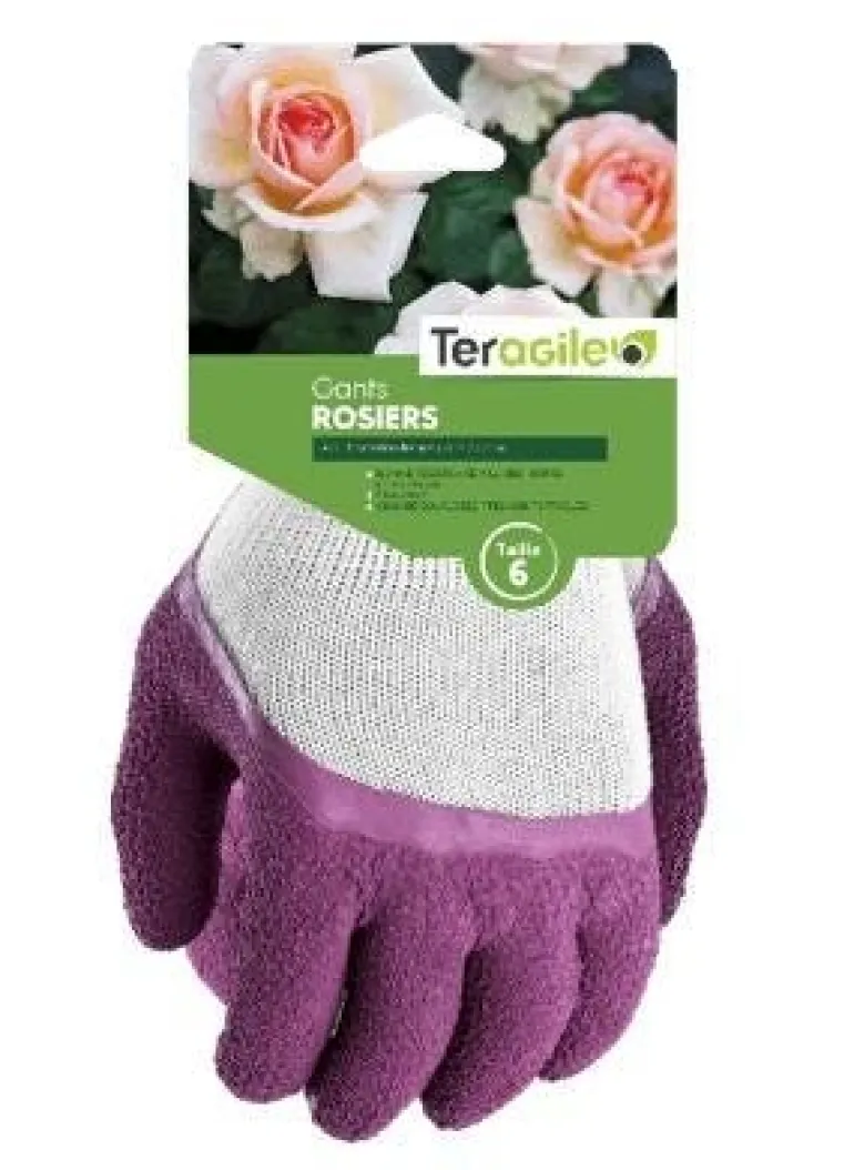Gants rosiers Violet TERAGILE