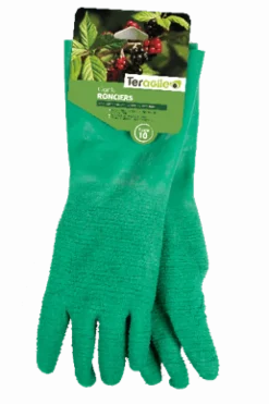 Gants ronciers TERAGILE