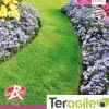 Gazon jardin anglais 5kg TERAGILE