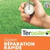 Gazon réparation rapide 3kg TERAGILE