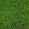 Gazon synthétique Camp Nou 40mm largeur 2m - Vendu au ml