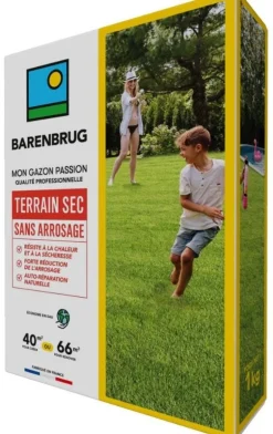 Gazon terrain sec sans arrosage 1 kg