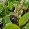 Goutteur en ligne auto-régulant GARDENA x10
