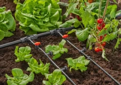Goutteur en ligne régulateur de pression 2l/h GARDENA x20