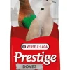 Graines pour pigeons et tourterelles 20kg