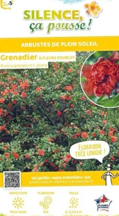 Grenadier à fleurs doubles Pot 10L SILENCE ÇA POUSSE