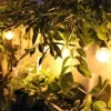 Guirlande tradition 10 LED blanc chaud 5m prolongeable