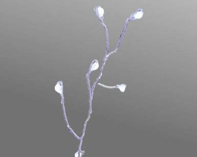 Guirlande voie lactée 120 LED blanc 3m