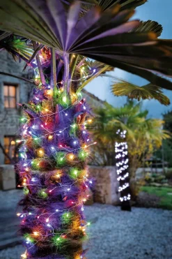 Guirlande voie lactée 240 LED multicolore 6m