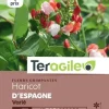 Haricot d'Espagne Varié 10g TERAGILE