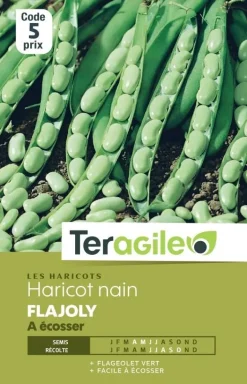 Haricot Nain Flajoly à écosser 30g TERAGILE