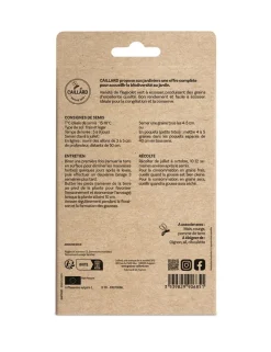 Haricot Nain Flajoly 100g CAILLARD