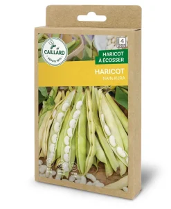 Haricot Nain Aura 100g CAILLARD