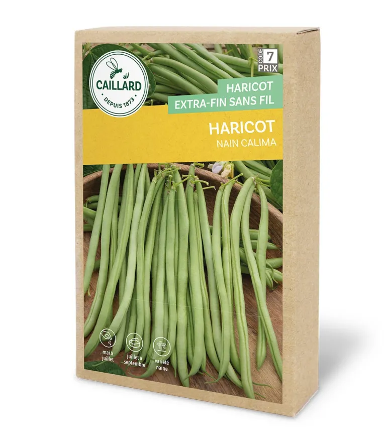 Haricot Nain Calima 200g CAILLARD
