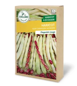 Haricot Nain Canadian Wonder 200g CAILLARD