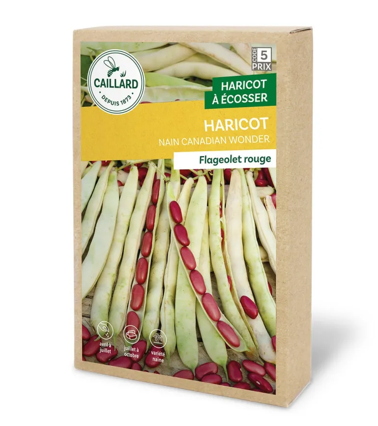 Haricot Nain Canadian Wonder 200g CAILLARD