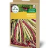 Haricot Nain Carmen 100g CAILLARD