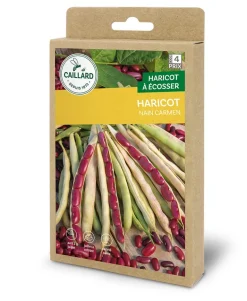 Haricot Nain Carmen 100g CAILLARD