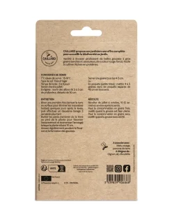 Haricot Nain Carmen 100g CAILLARD