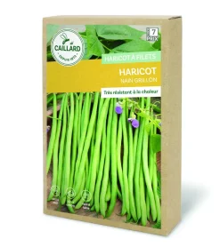 Haricot nain Grillon 200g CAILLARD