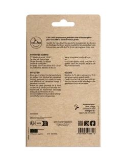 Haricot Nain Majestik 100g CAILLARD