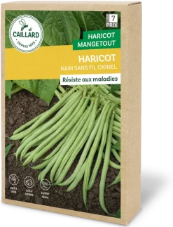 Haricot nain Oxinel 200g CAILLARD