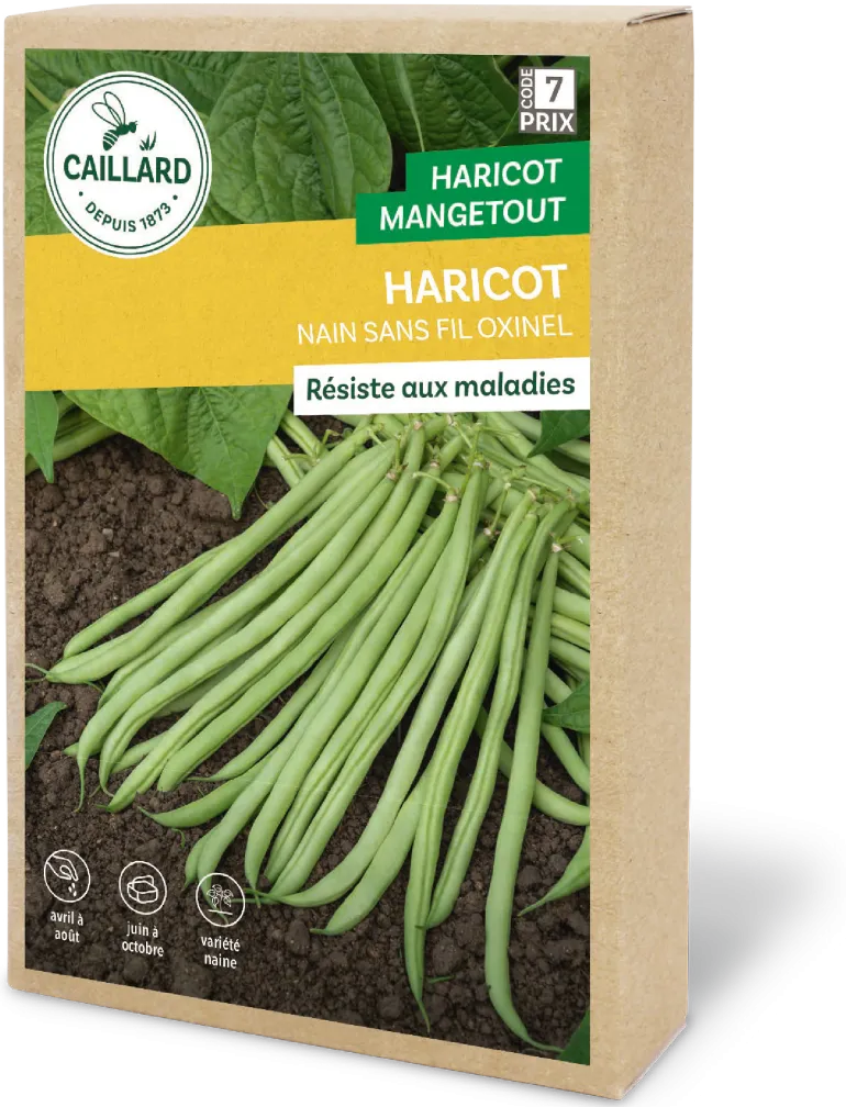 Haricot nain Oxinel 200g CAILLARD