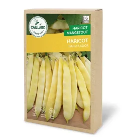 Haricot Nain Plador 200g CAILLARD