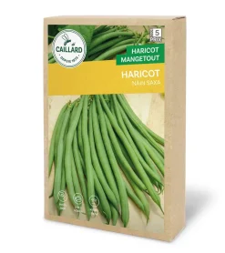 Haricot Nain Saxa 200g CAILLARD